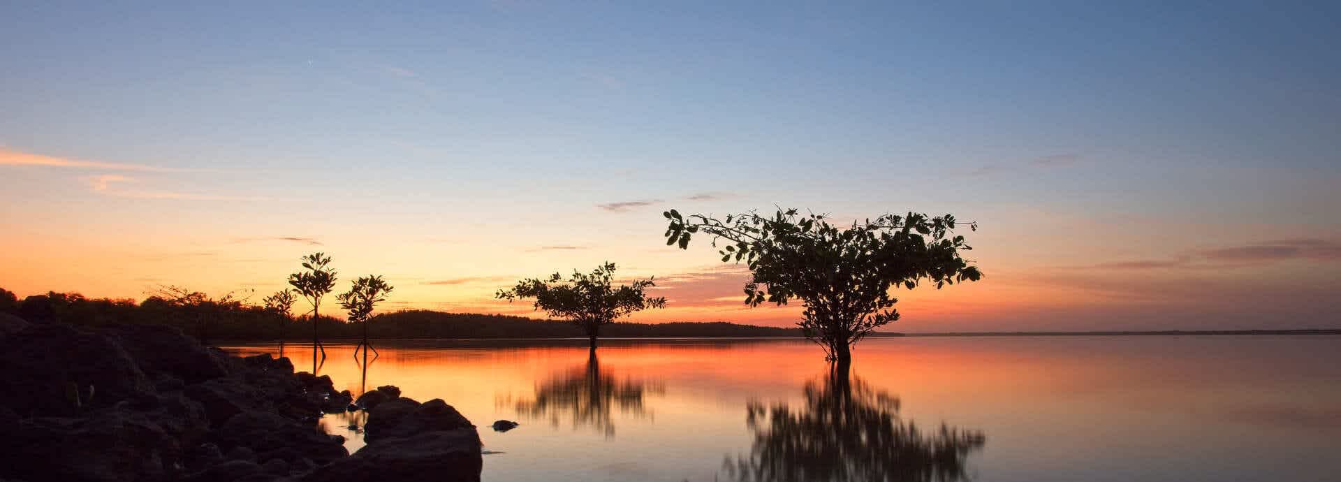 seguro-de-viaje-gambia