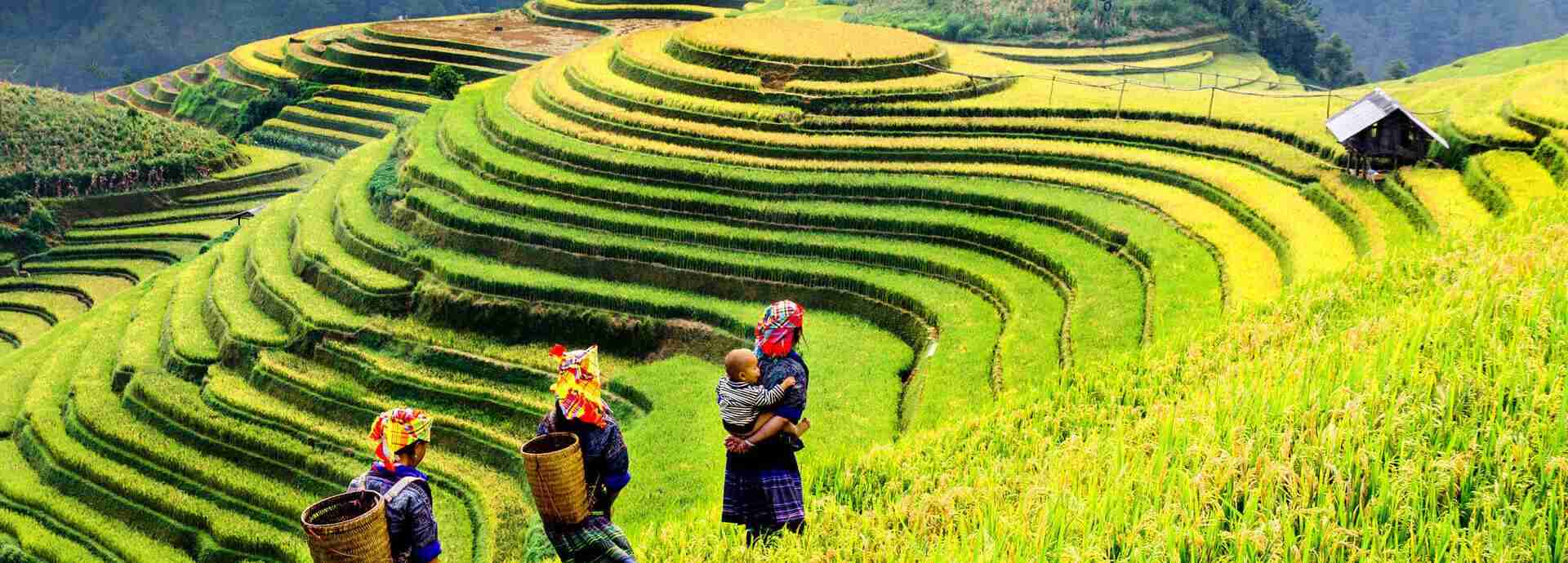 Seguro de viaje a Camboya