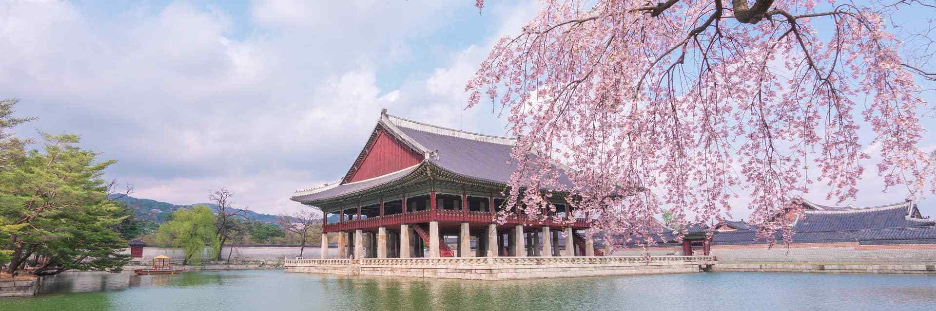 Seguro de viaje a Corea del Sur