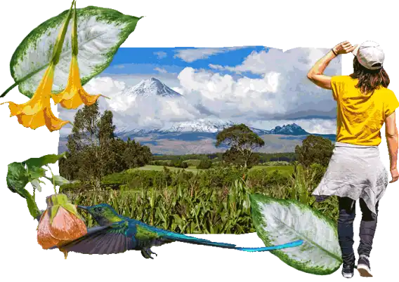 Sabías que en Ecuador