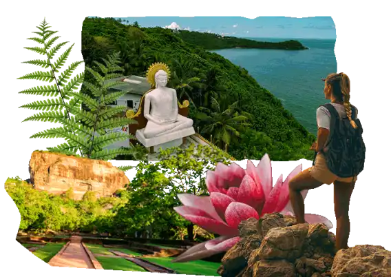 Sabías que en Sri Lanka