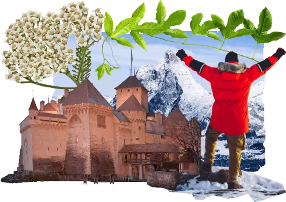 seguro viaje Suiza