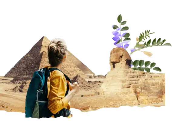 seguro de viaje Egipto seguro de viaje Egipto