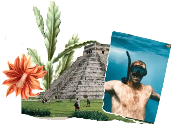 Sabías que en México Sabías que en México